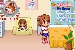 Dogz: Fashion